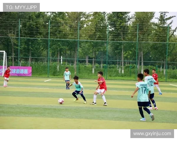 江夏区足球代表队奋勇争先 展现区域足球实力与风采 江夏区足球代表队奋勇争先 展现区域足球实力与风采