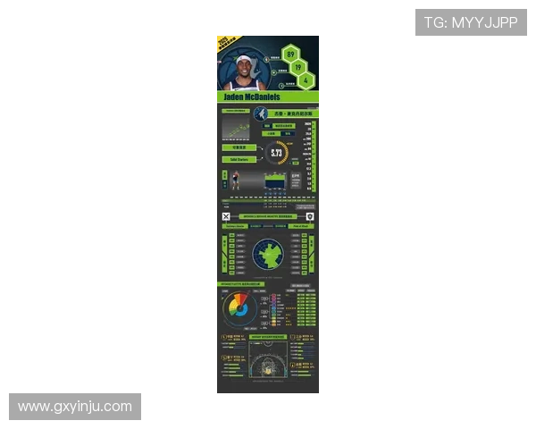 森林狼俱乐部全新赛季阵容解析与球队未来发展深度观察